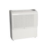 Oro sausintuvas baseinui Ecor pro D950E